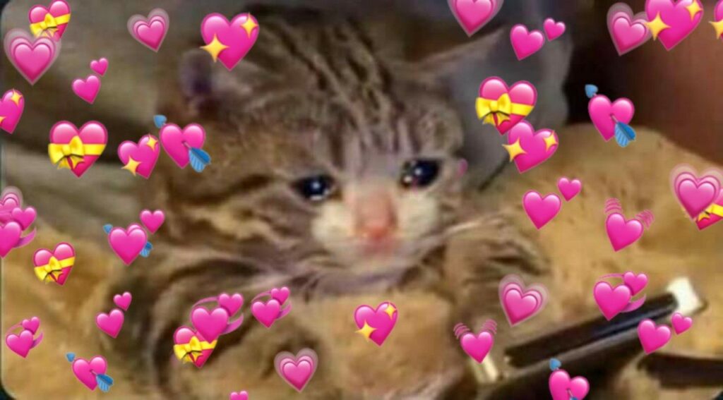 No soy la clase de chica que se queda con EL chico